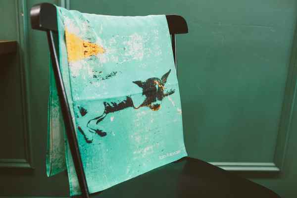 scarf womens ware accessory