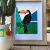 5EE44640-78A9-428C-9164-82D60735F8D0 Australian Art Toucan Print