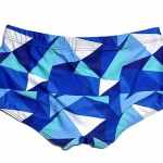 08b348_470093cd4d344b9bb5d6de0a2ee2ba17~mv2 Men's Geo Print Trunks Swimwear