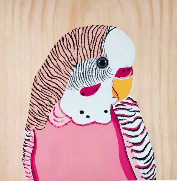 Australian Art Pip the Budgie Australian Art Pip the Budgie