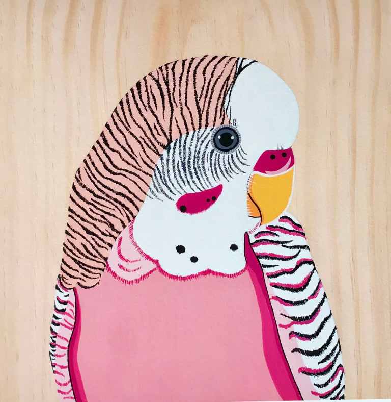 Australian Art Pip the Budgie Australian Art Pip the Budgie