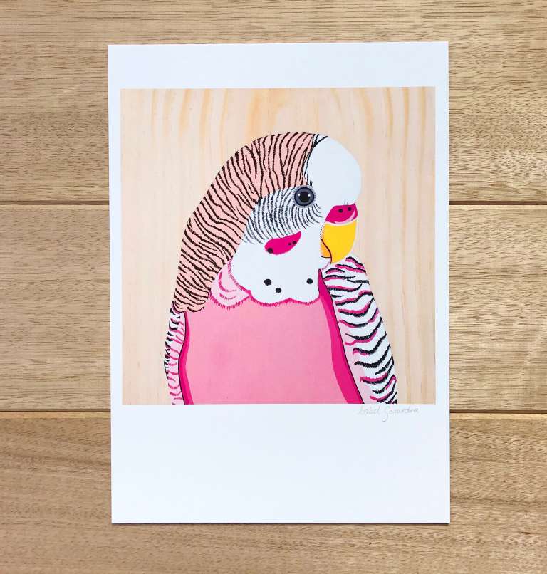 575F6F50-0315-4EF0-B39D-BA3AA95A25BA Australian Art Pip the Budgie