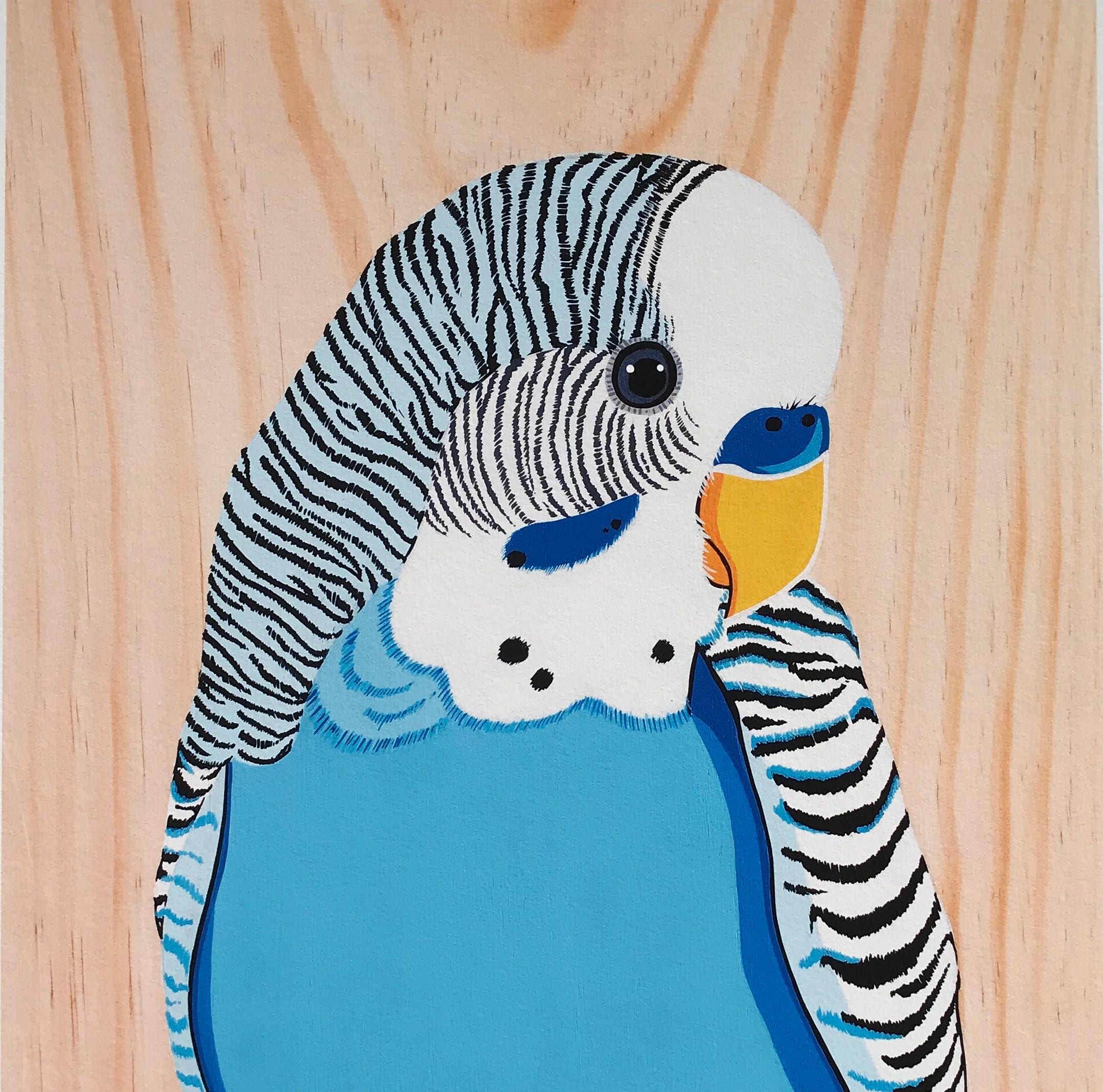 Australian Art Jack the Budgie