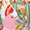 Australian Art Moz the Pink Cockatoo Australian Art Moz the Pink Cockatoo