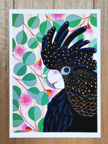 Australian Art Black Cockatoo Print