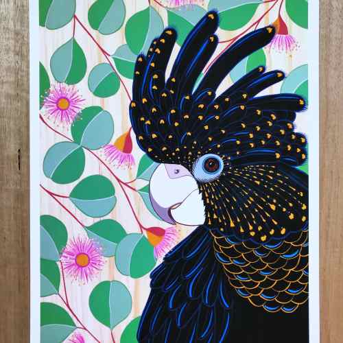 Australian Art Black Cockatoo Print Australian Art Black Cockatoo Print