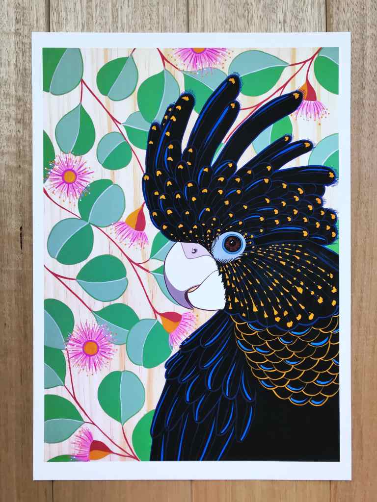 Australian Art Black Cockatoo Print