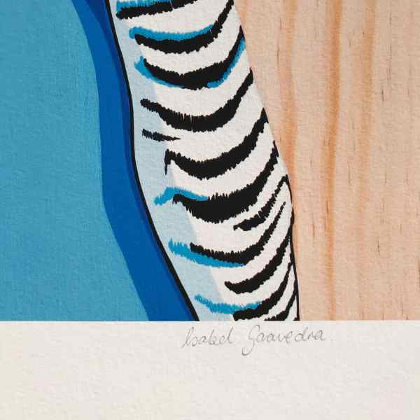 Australian Art Jack the Budgie