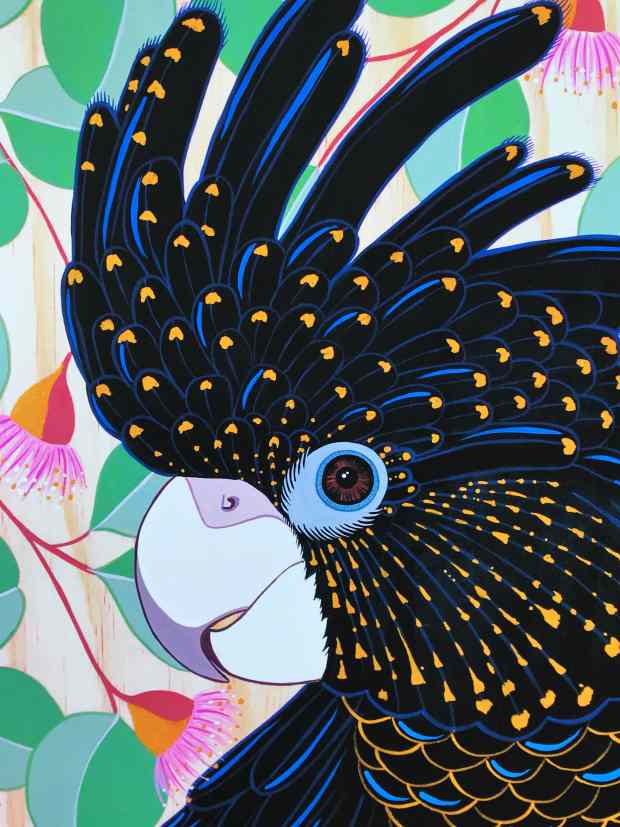 Australian Art Black Cockatoo Print