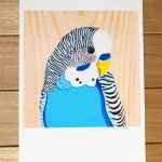 DC991287-8C42-4D8B-92D6-7142ED1010C5 Australian Art Jack the Budgie