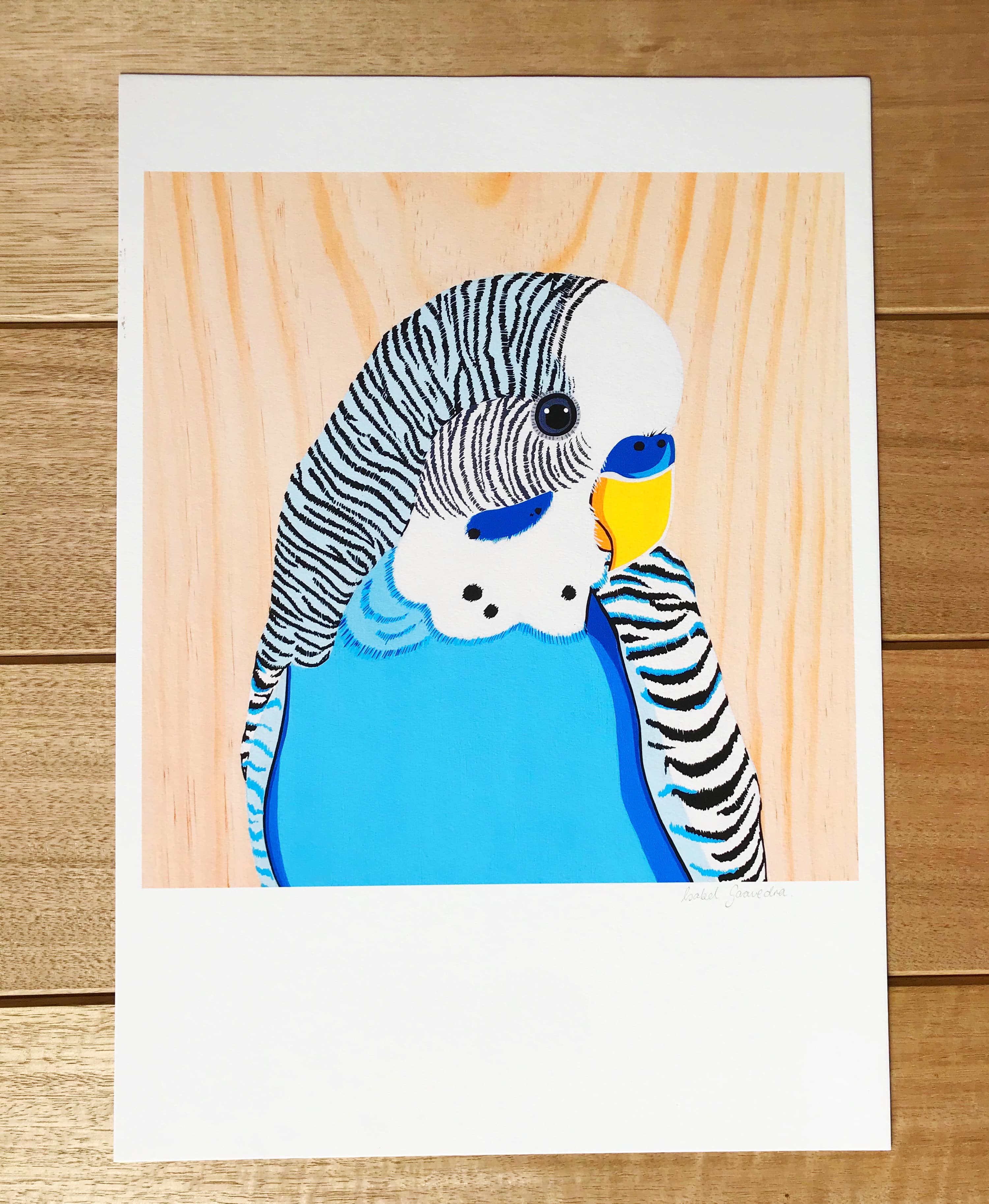 Australian Art Jack the Budgie - Image 2