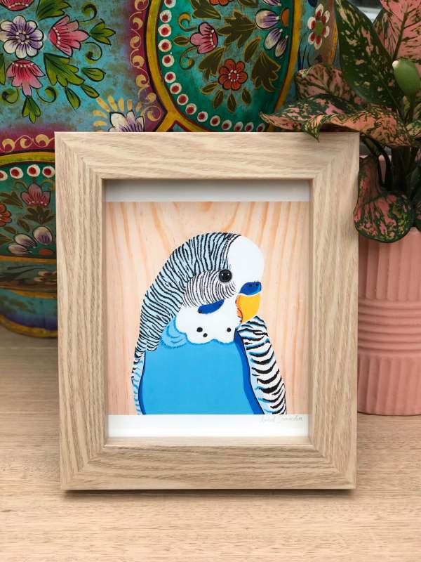 local art budgie bird art by hola by isabel