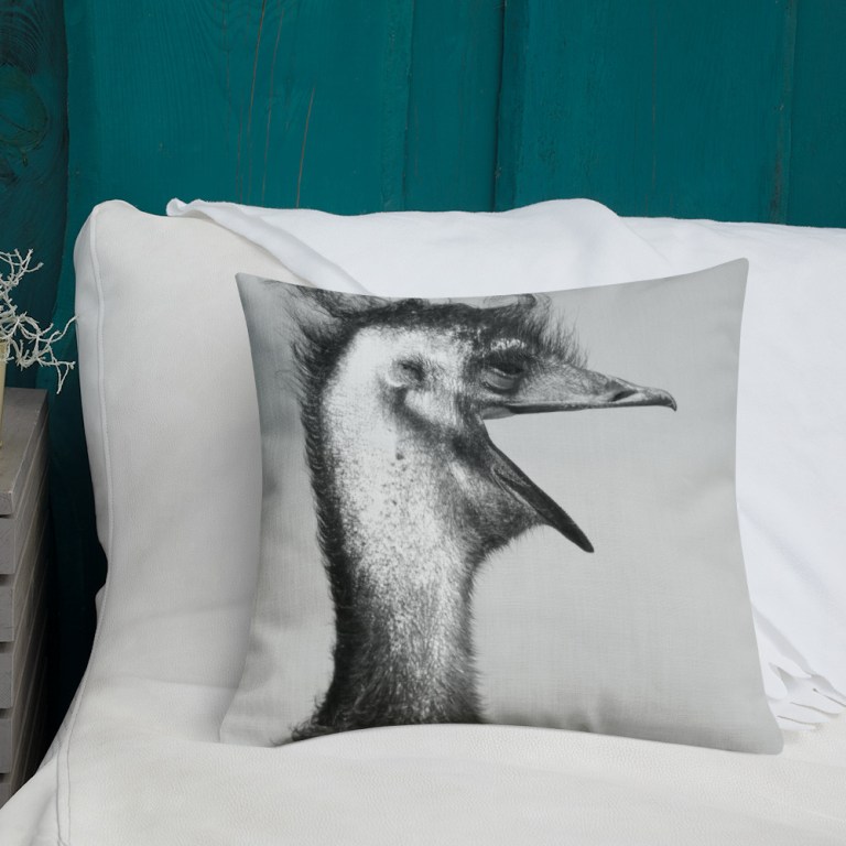 all-over-print-premium-pillow-18x18-front-lifestyle-4-63bbdb7e319ed.jpg Smiling Ostrich Luxury Cushion