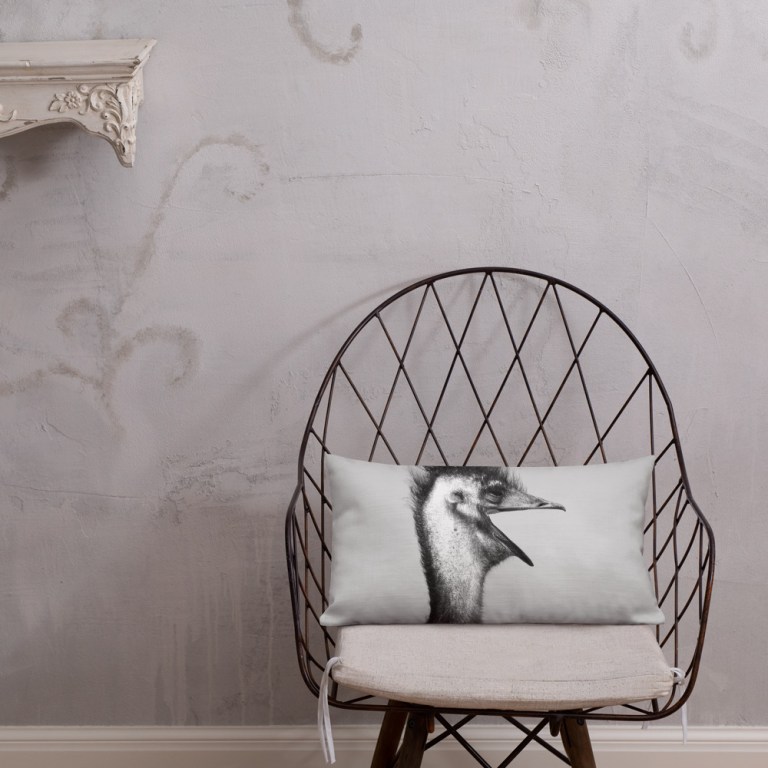 all-over-print-premium-pillow-20x12-front-lifestyle-1-63bbdb7e32106.jpg Smiling Ostrich Luxury Cushion
