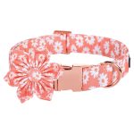 collar-and-flower