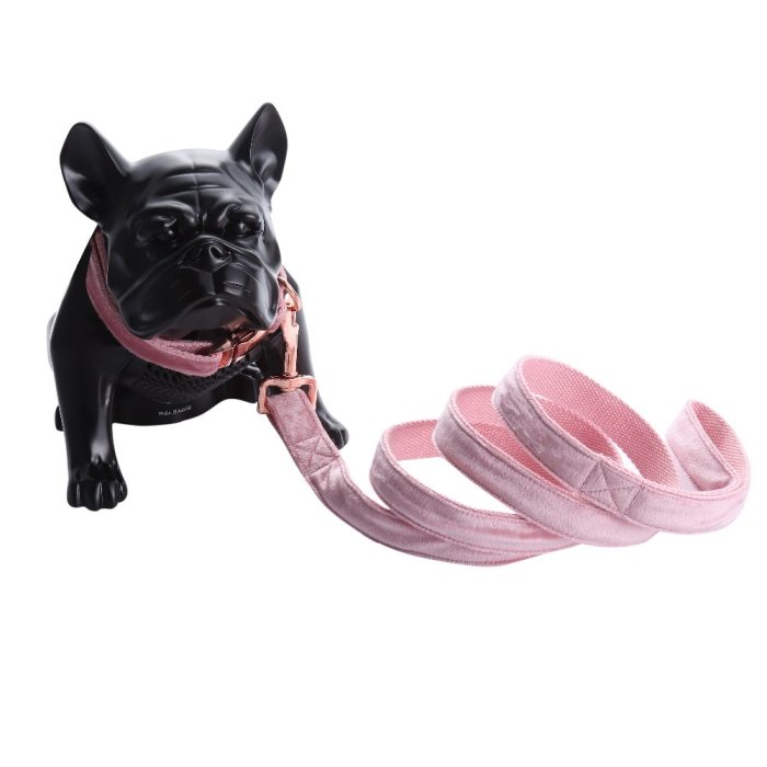 Unique Style Paws Cute Pink Puppy Velvet Dog Collar 4