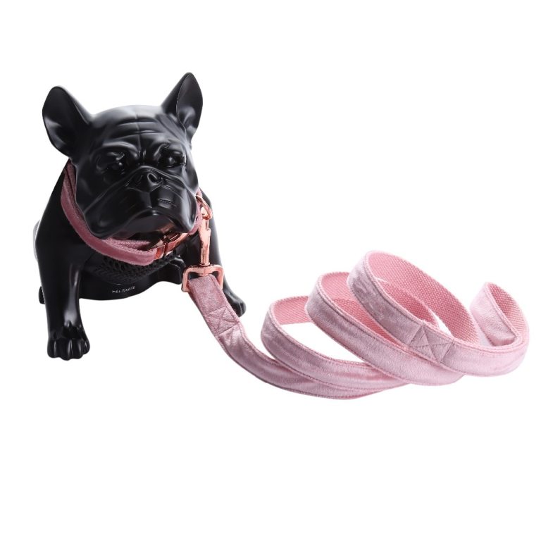 Unique Style Paws Cute Pink Puppy Velvet Dog Collar 4