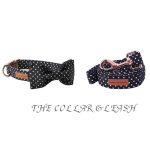 Paws Polka Dot Dog Collar + Detachable Bowtie + Adjustable 3