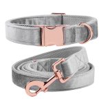 collar-and-leash