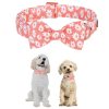 Summer Daisy Dog Collar and Bow Tie 3 Summer Daisy Dog Collar and Bow Tie 3