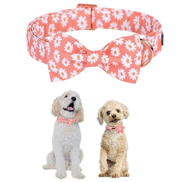 Summer Daisy Dog Collar and Bow Tie 3 Summer Daisy Dog Collar and Bow Tie 3