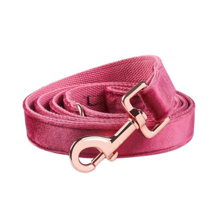 Paws Velvet Dog /Cat Collar Hot Pink Leash Set 4