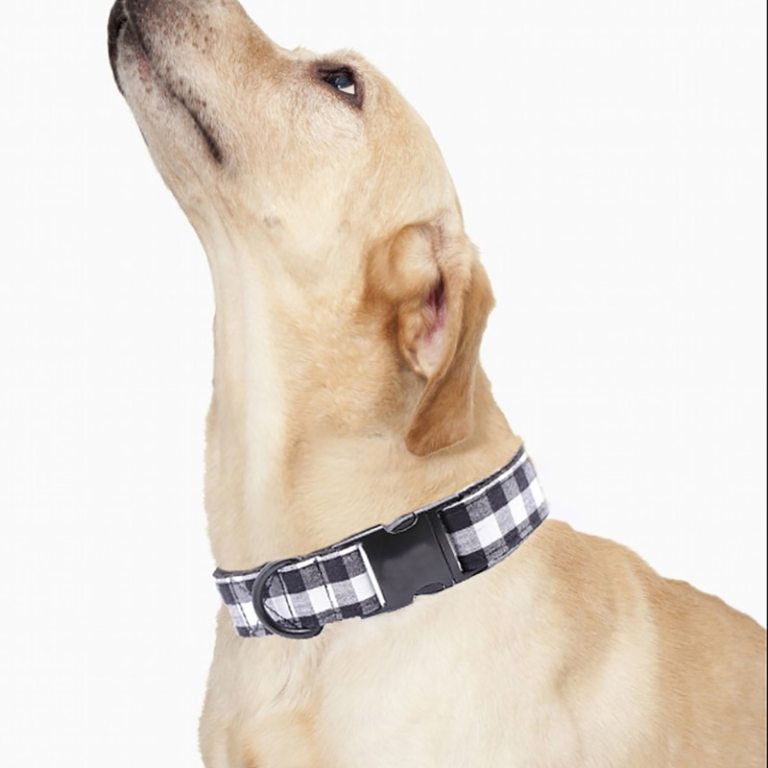 B&W Checker Dog or Cat Collar or Leash with Bow Tie 5 B&W Checker Dog or Cat Collar or Leash with Bow Tie 5
