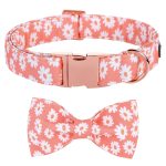 Summer Daisy Pet Collar and Bow Tie