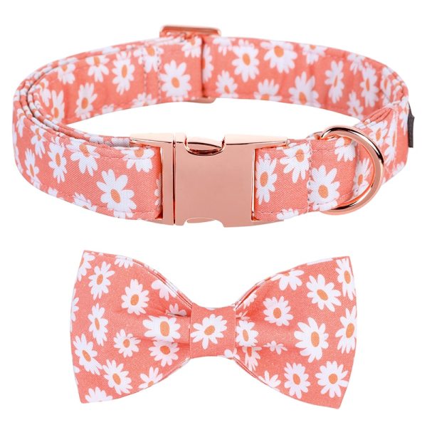 Summer Daisy Pet Collar and Bow Tie Summer Daisy Pet Collar and Bow Tie