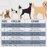 Paws Velvet Dog /Cat Collar Hot Pink Leash Set 6