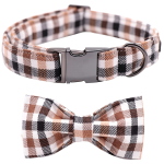 collar-and-bow