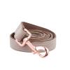 leash