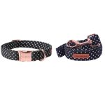 collar-leash