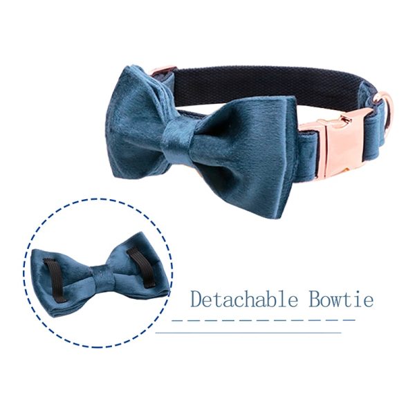 Paws Deep Blue Velvet Soft Collar with Bow tie and Leash 3