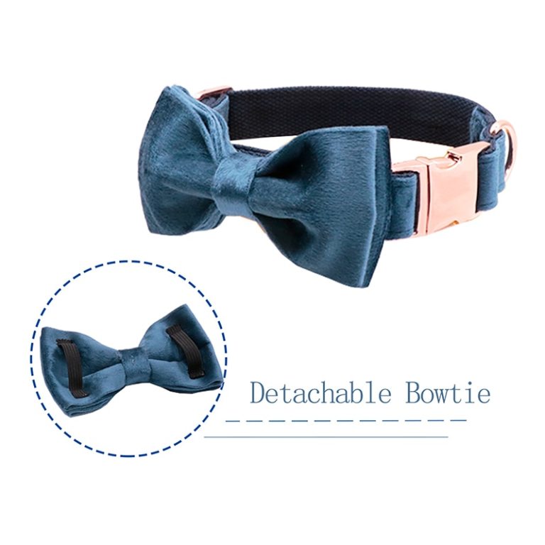 Paws Deep Blue Velvet Soft Collar with Bow tie and Leash 3