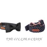 collar-bow-and-leash
