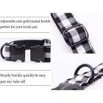 B&W Checker Dog or Cat Collar or Leash with Bow Tie 2 B&W Checker Dog or Cat Collar or Leash with Bow Tie 2