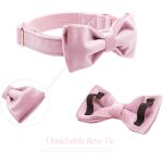 Unique Style Paws Cute Pink Puppy Velvet Dog Collar 2