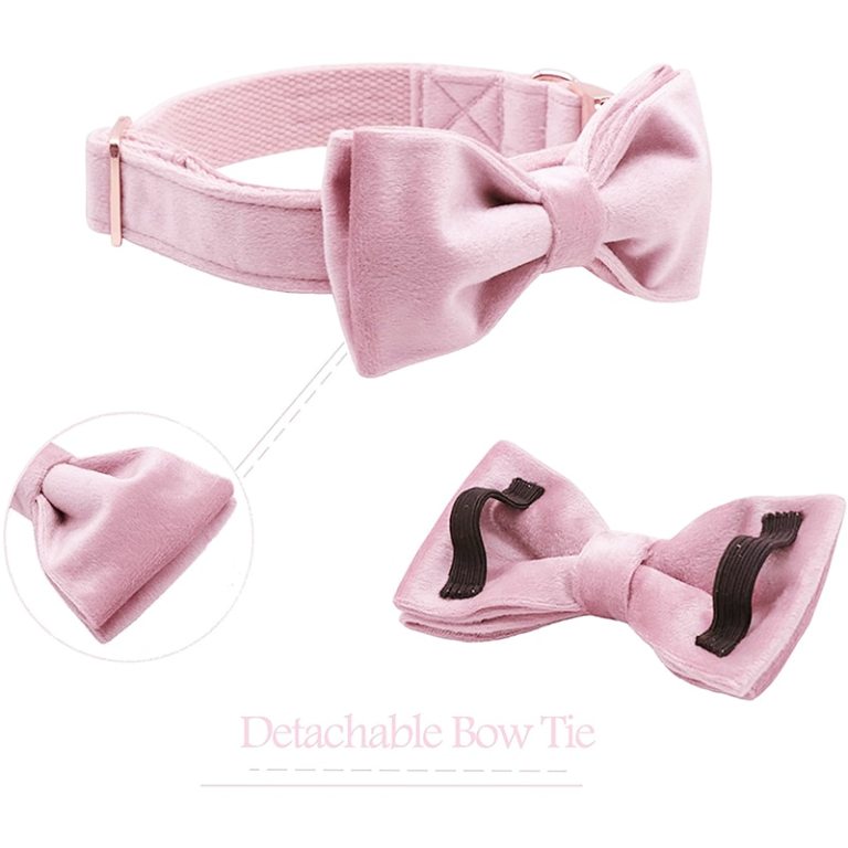 Unique Style Paws Cute Pink Puppy Velvet Dog Collar 2