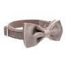 collar-and-bow