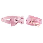 collar-bow-leash