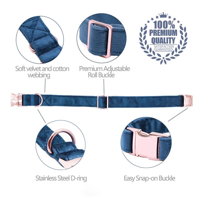 Paws Deep Blue Velvet Soft Collar with Bow tie and Leash 2