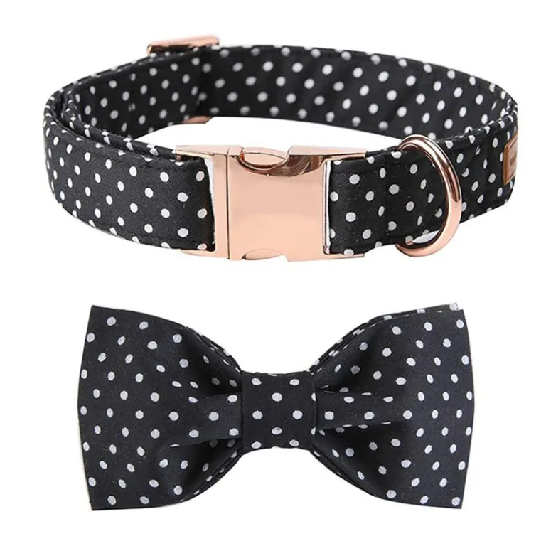 Polka Dot Pet Collar and Detachable Bowtie