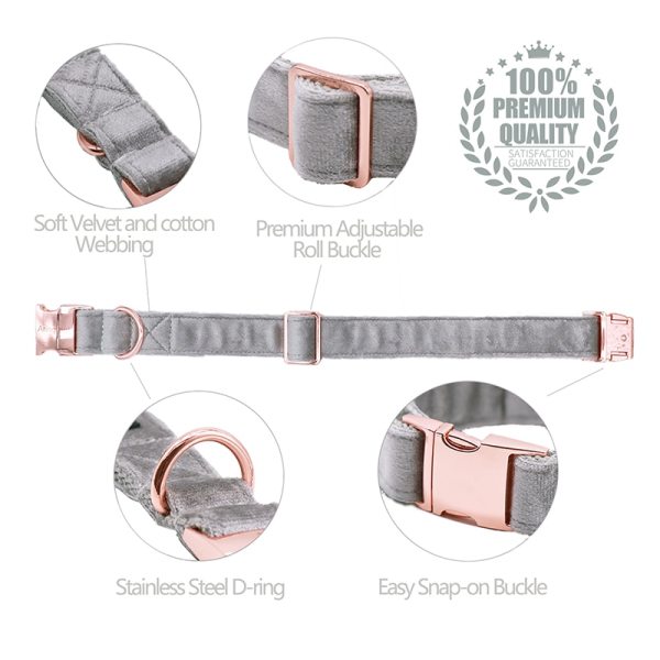 Paws Velvet Dog /Cat Adjustable Collar and Leash Set Gray 4