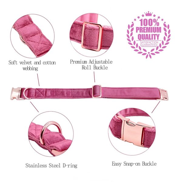 Paws Velvet Dog /Cat Collar Hot Pink Leash Set 2