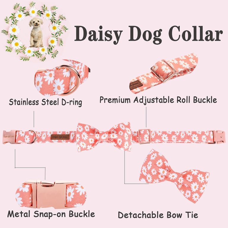 Summer Daisy Dog Collar and Bow Tie 2