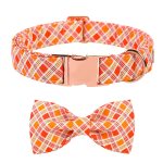 collar-and-bowtie