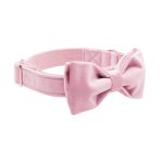 collar-and-bow