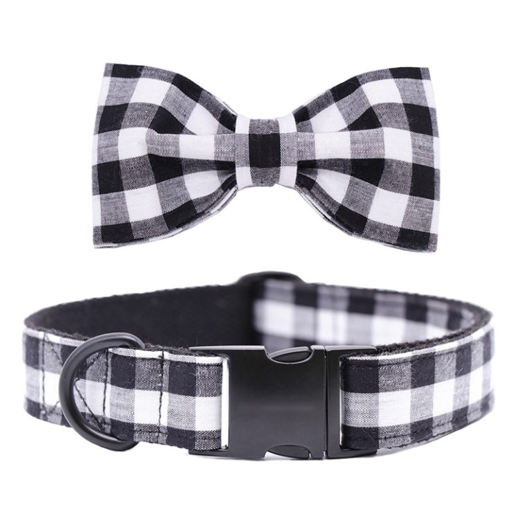Checker Pet Collar plus Leash with Bow Tie Checker Pet Collar plus Leash with Bow Tie