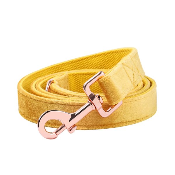 Paws Velvet Dog Cat Collar Yellow 4